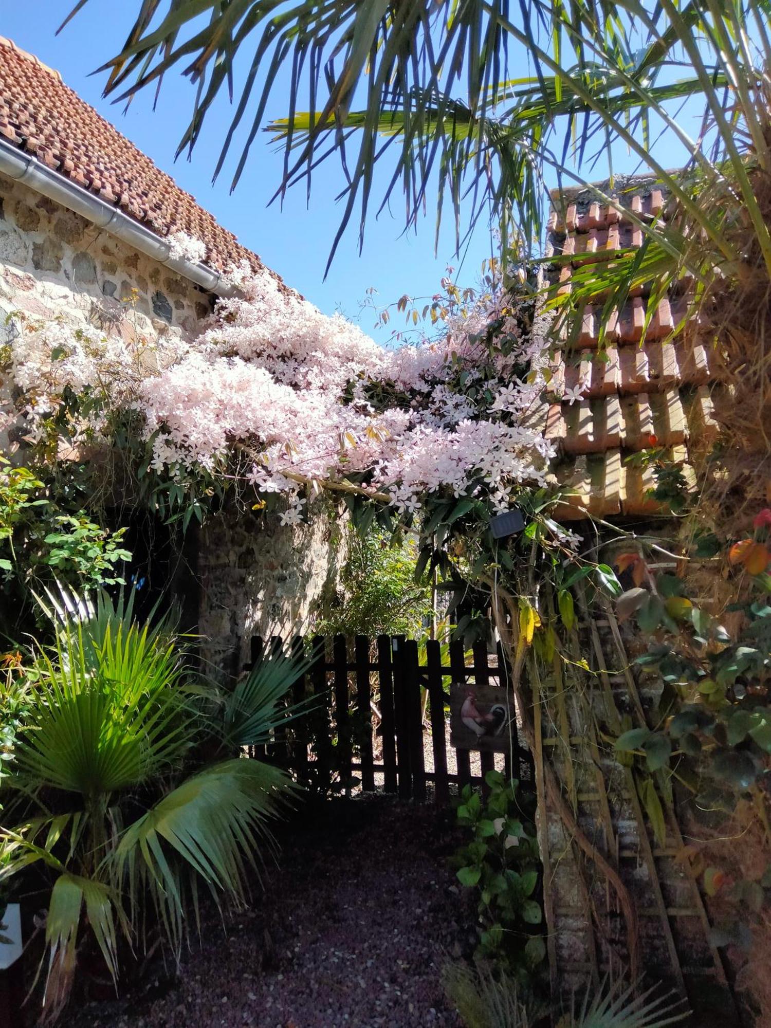 Les Deux Moulins Apartment Saint-Alban  ภายนอก รูปภาพ